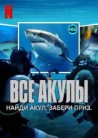 Все акулы